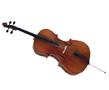 Strings Instrumentsb