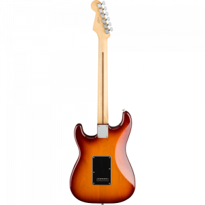 Fender® Player Stratocaster® HSH PF TBS
