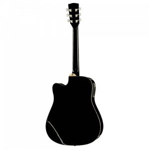 Steel-String Guitar